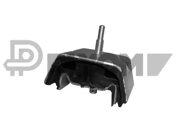 Holder, control arm mounting (P755902)