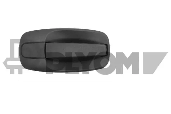 Exterior Door Handle (P767776)