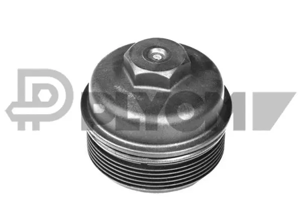 Cap, oil filter housing (P751151)