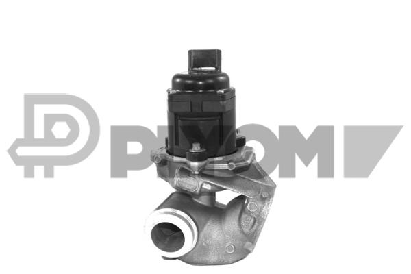EGR valve, exhaust control (P960001)