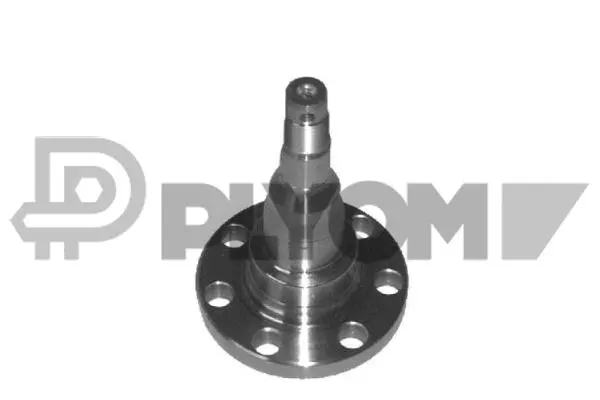 Wheel Hub (P461024)