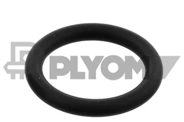 Gasket, coolant pipe (P955245)