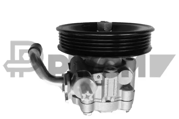 Hydraulic Pump, steering (P768307)