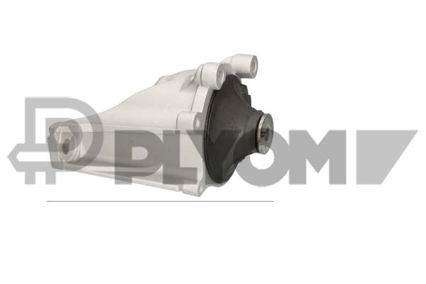 Mounting, engine (P776194)