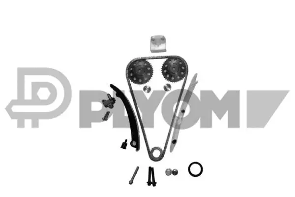 Timing Chain Kit (P752043)