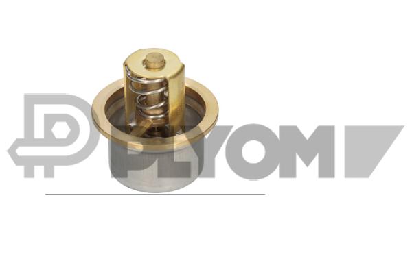 Thermostat, coolant (P769136)