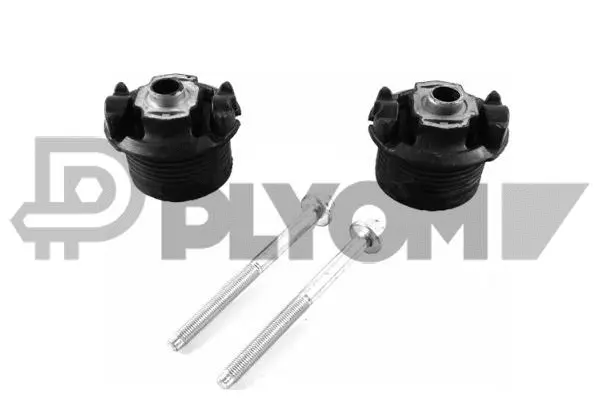 Bushing, axle beam (P759670)