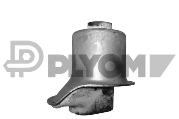 Bushing, axle beam (P460008)