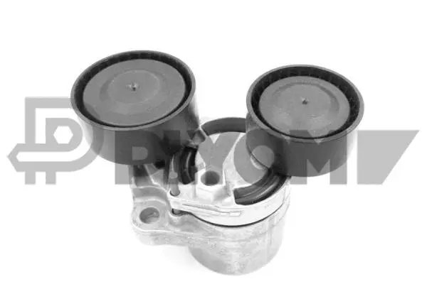 Tensioner Lever, V-ribbed belt (P751898)