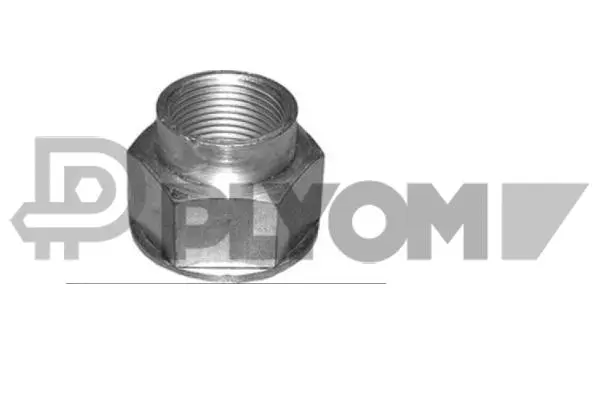Nut, stub axle (P772198)