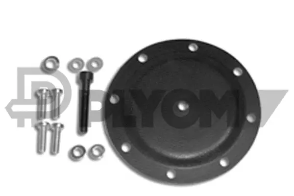 Membrane, vacuum pump (P021047)