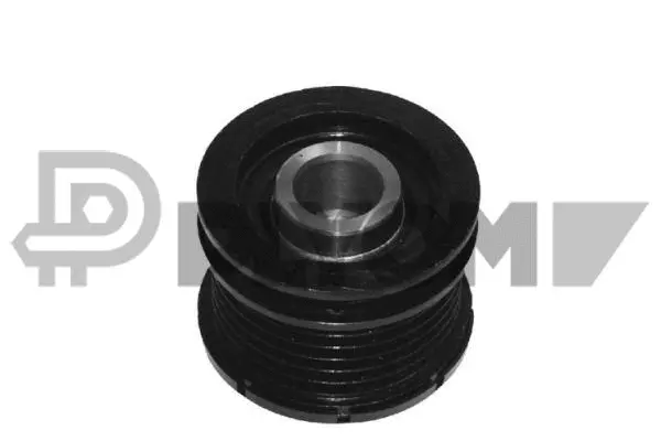 Alternator Freewheel Clutch (P460968)