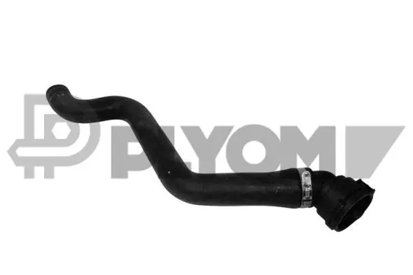 Radiator Hose (P753718)