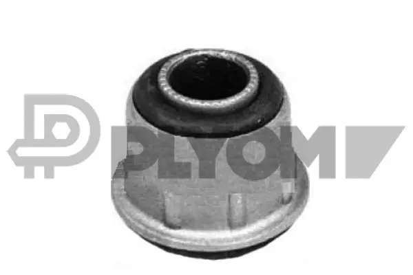Mounting, control/trailing arm (P011155)