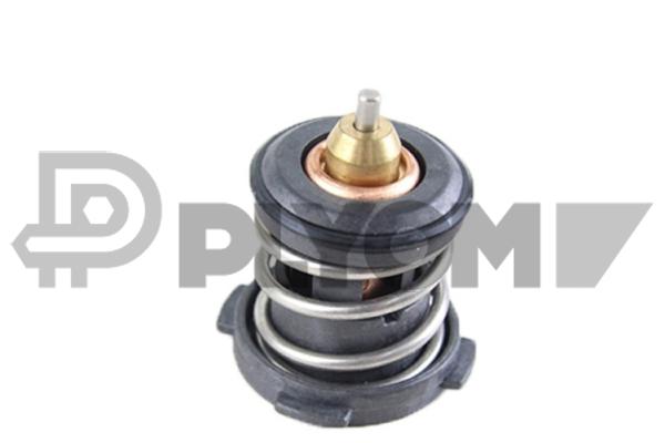 Thermostat, coolant (P772148)