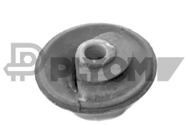 Bushing, axle beam (P750703)