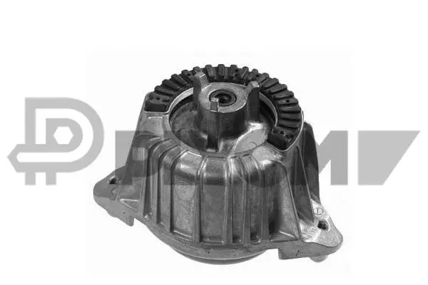 Mounting, engine (P181102)