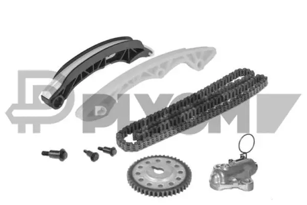 Timing Chain Kit (P771457)