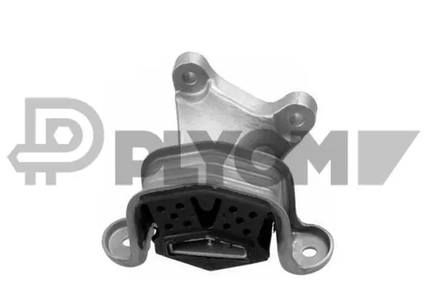 Mounting, automatic transmission (P759333)