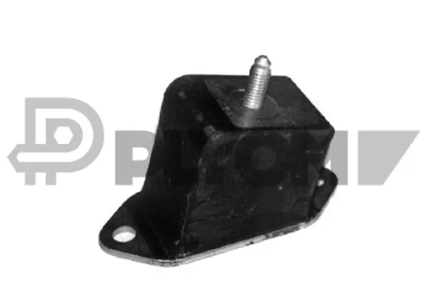 Mounting, engine (P020219)