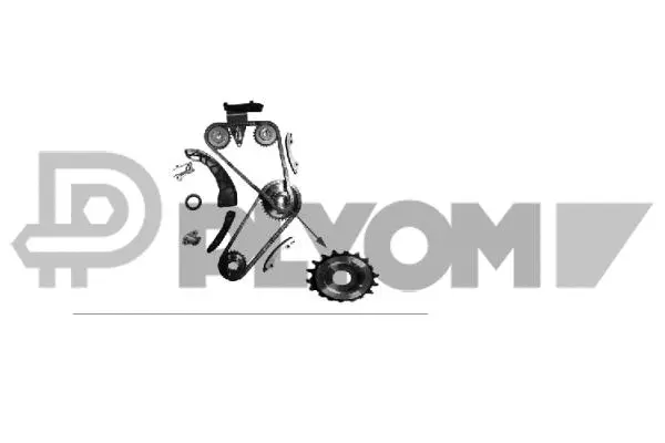 Timing Chain Kit (P701090)