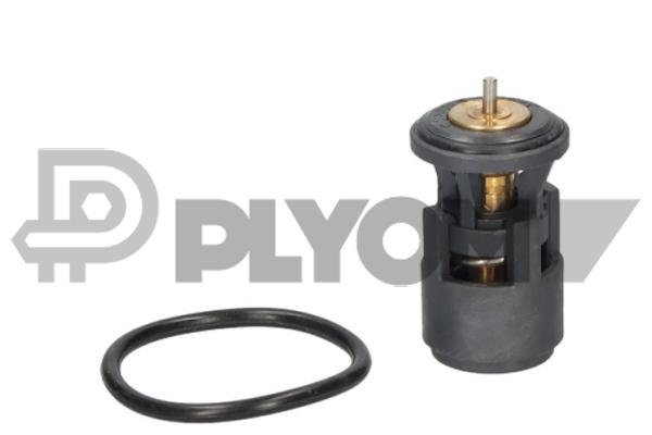 Thermostat, coolant (P766541)