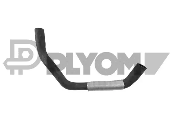 Radiator Hose (P036747)