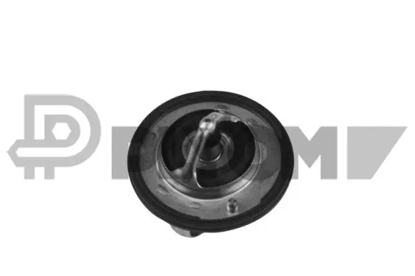 Thermostat, coolant (P772163)