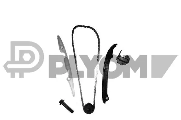 Timing Chain Kit (P752021)