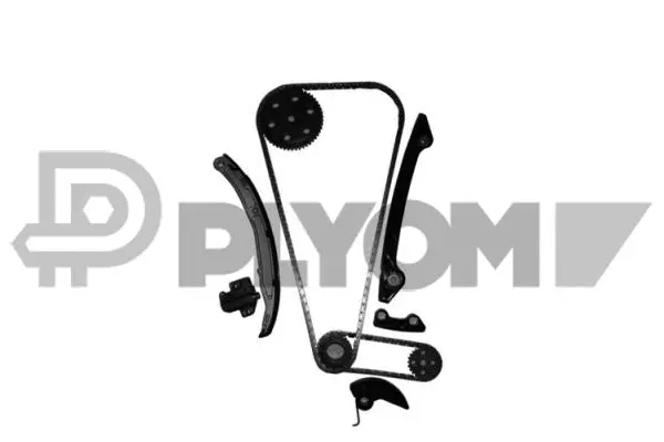 Timing Chain Kit (P752073)