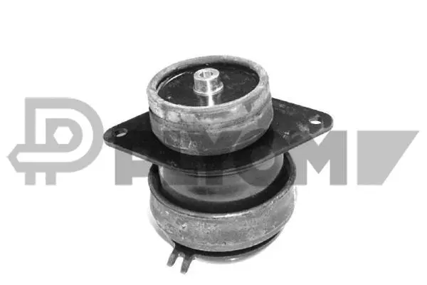 Mounting, engine (P010471)