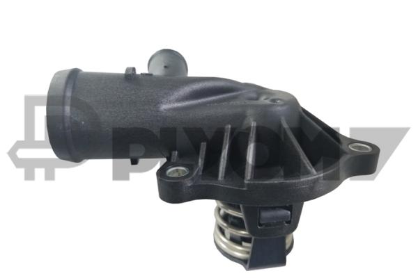 Thermostat, coolant (P750813)
