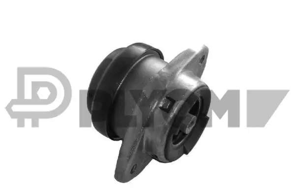 Mounting, engine (P030816)