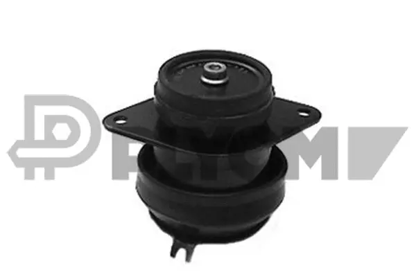 Mounting, engine (P010472)