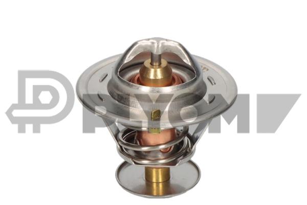 Thermostat, coolant (P772139)