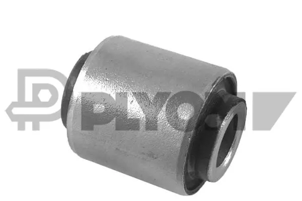 Bushing, axle beam (P766621)
