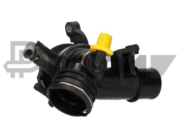 Thermostat, coolant (P750808)
