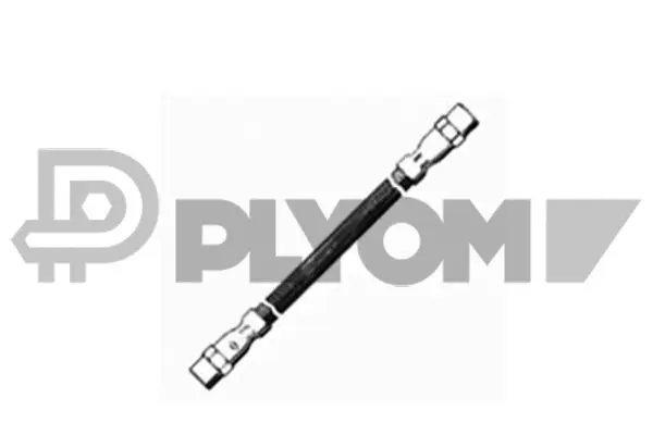 Brake Hose (P210004)