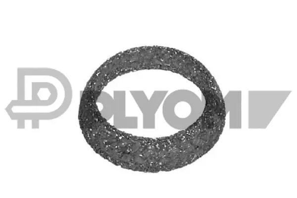 Seal Ring, exhaust pipe (P954197)