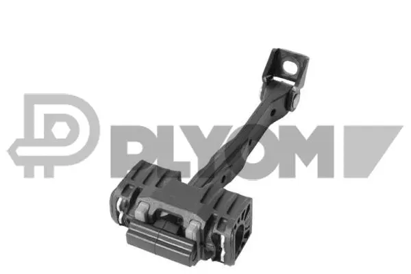 Door Check (P774423)