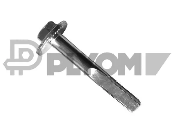 Camber Correction Screw (P758458)
