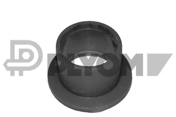 Bushing, selector/shift rod (P751055)