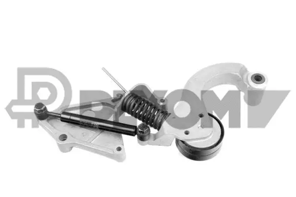 Repair Kit, v-ribbed belt tensioner (P769709)