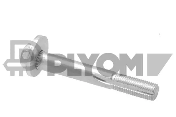 Camber Correction Screw (P758546)