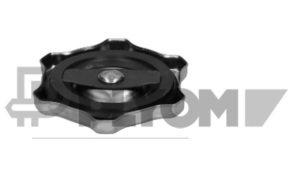 Sealing Cap, oil filler neck (P774859)