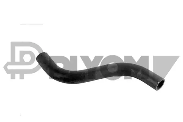 Radiator Hose (P016398)