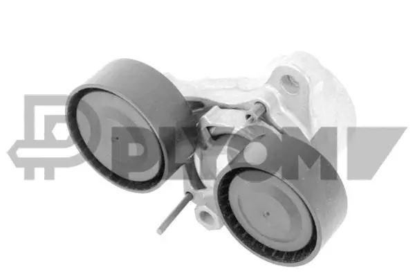 Repair Kit, v-ribbed belt tensioner (P769710)