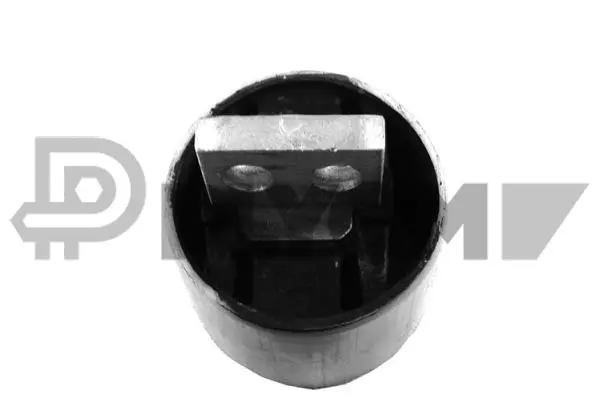 Mounting, engine (P753529)