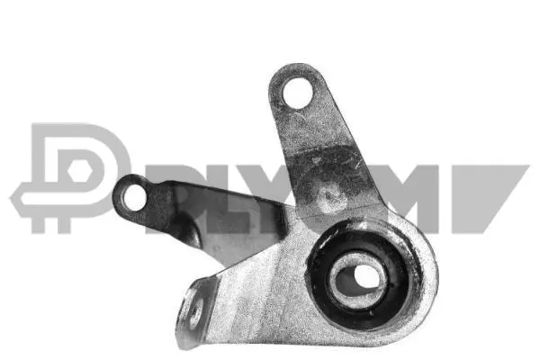 Mounting, engine (P011080)