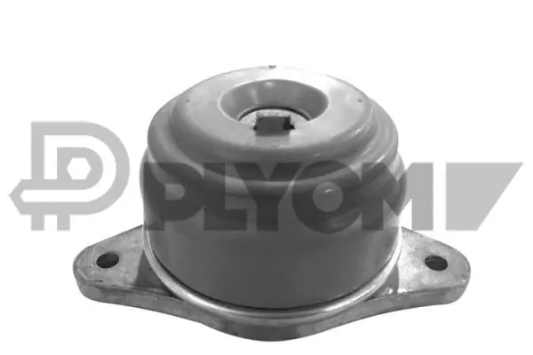 Mounting, engine (P755980)